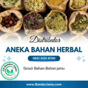 distributor bahan-bahan jamu