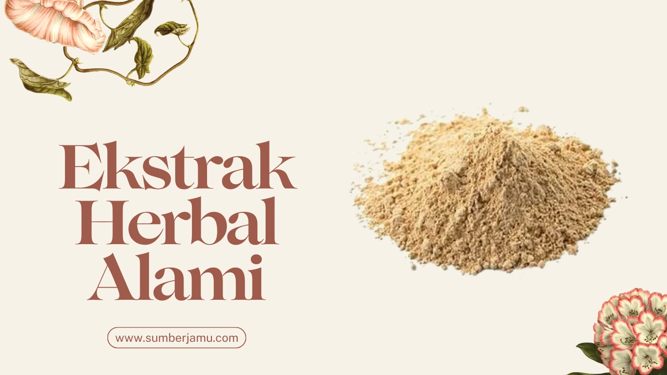 ekstrak herbal alami