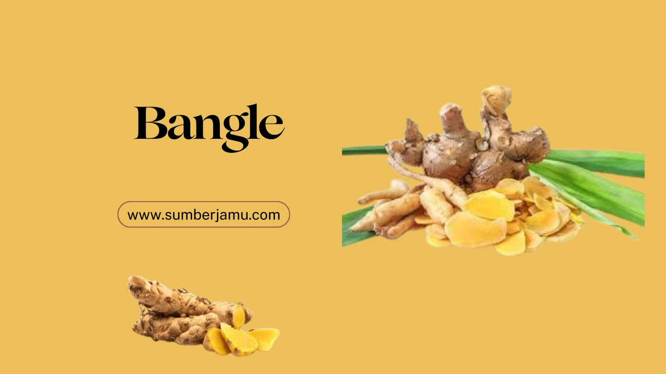 bangle kering berkualitas