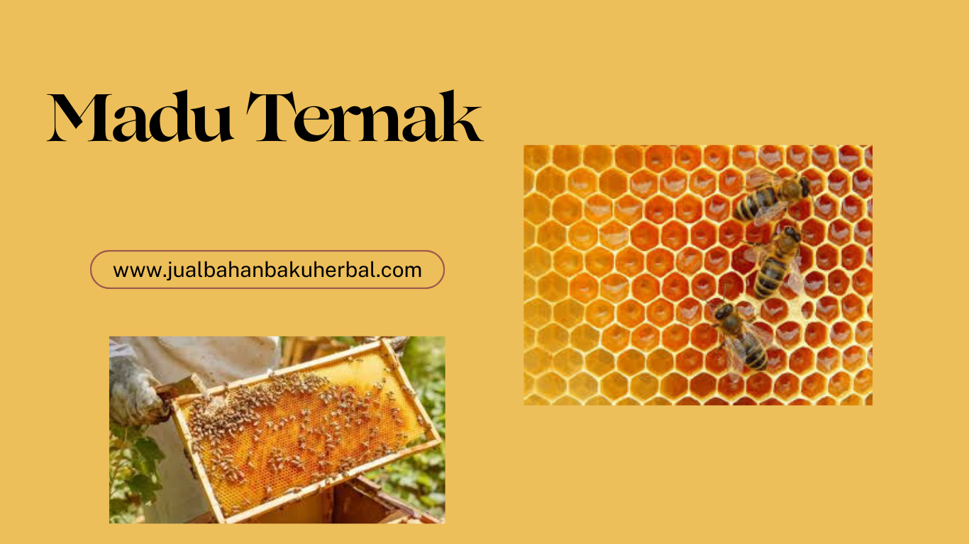 penjualan madu ternak berkualitas