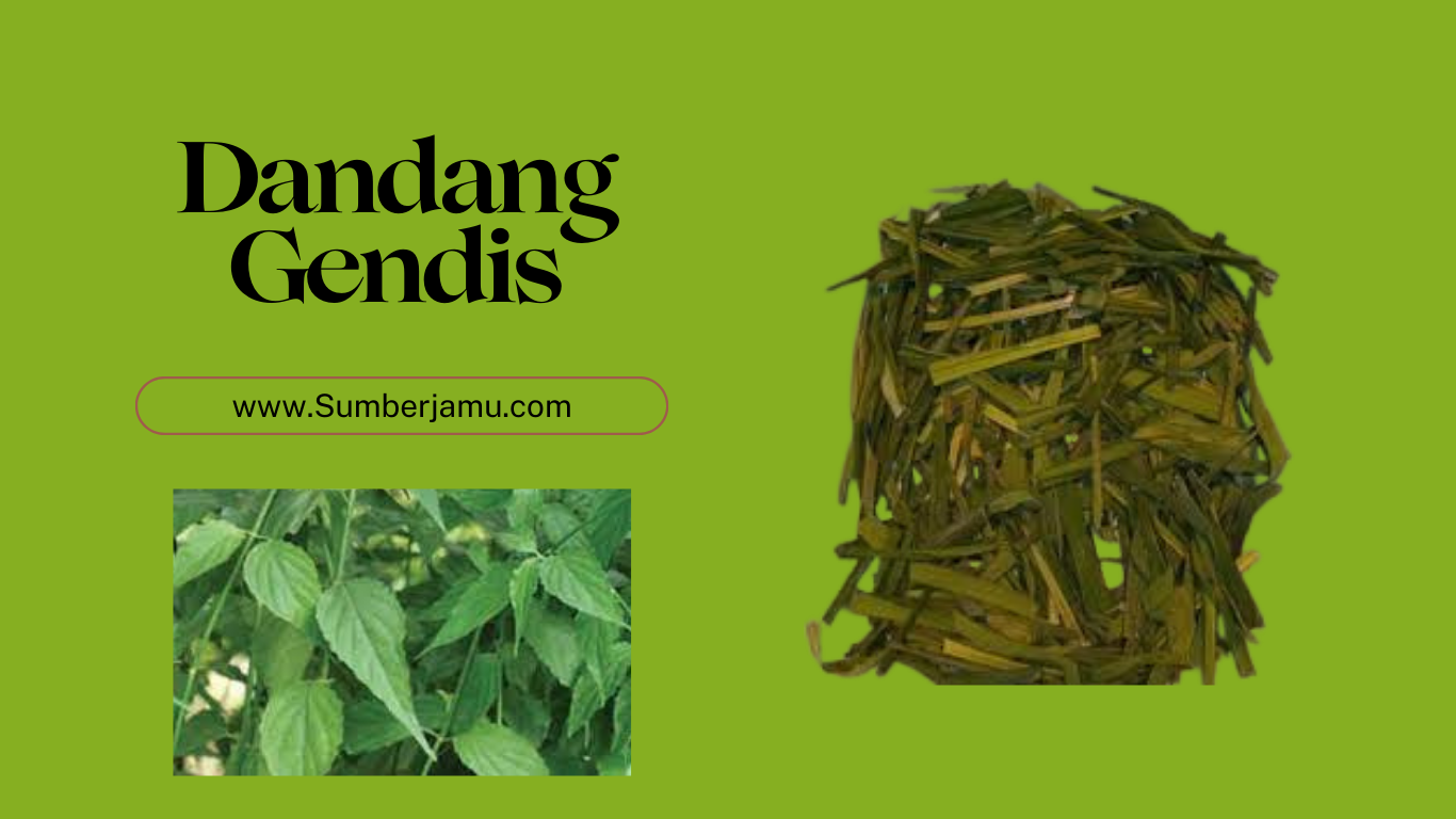 supplier grosir daun dinding gendis