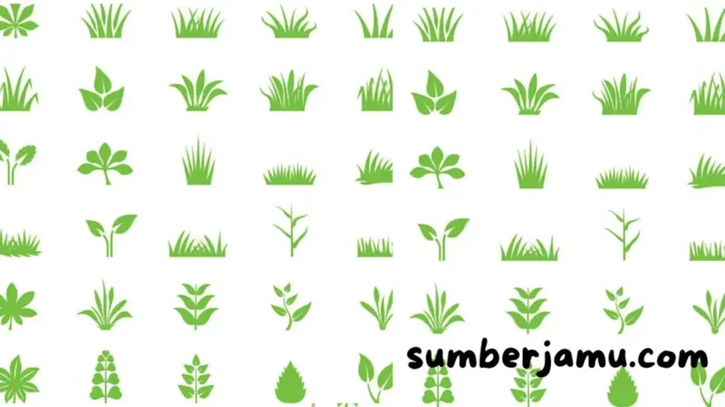 Beranda Ensiklopedia