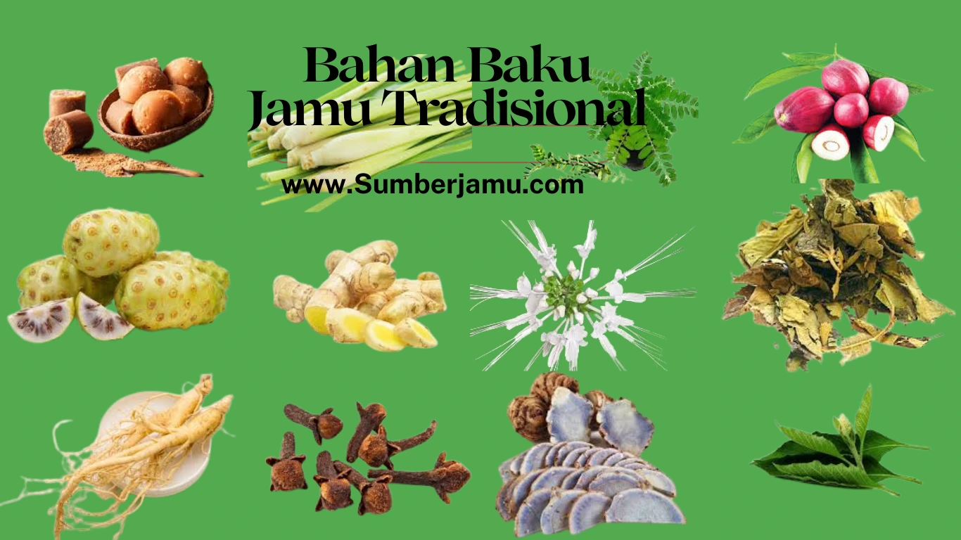 bahan baku jamu tradisional