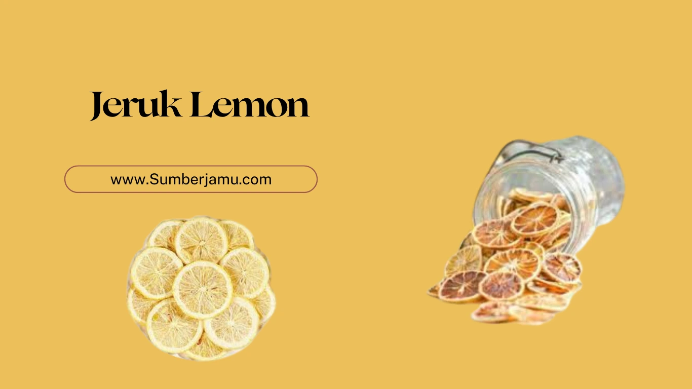 supplier agen grosir jeruk lemon kering